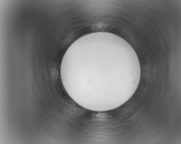 X0000067470324200604281901