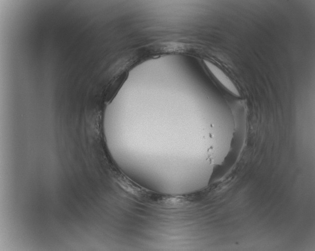 X0000067470325200604281901