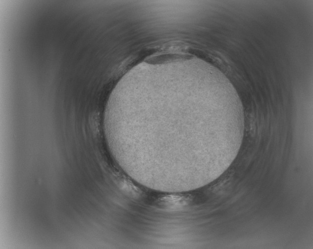 X0000067470326200604281901