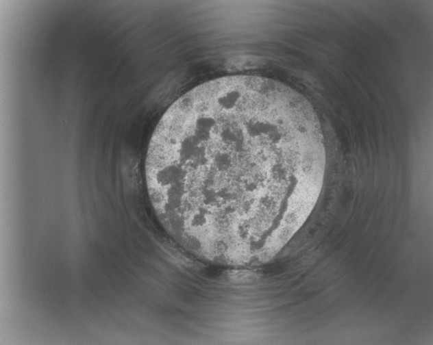 X0000067470327200604281901