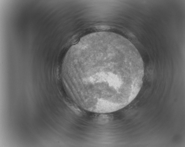 X0000067470330200604281900