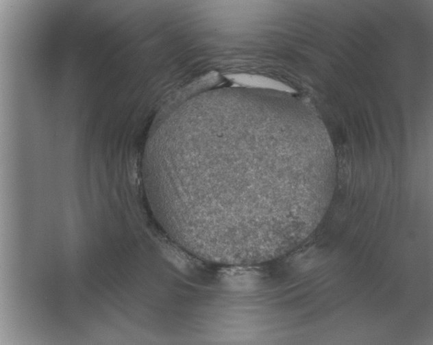 X0000067470331200604281900