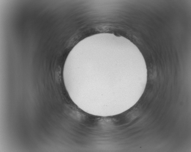 X0000067470332200604281900