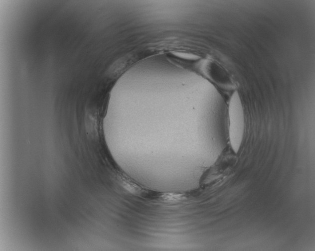 X0000067470333200604281900