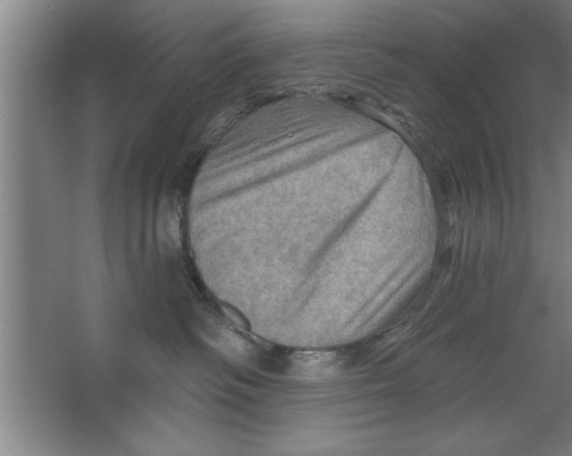 X0000067470334200604281900