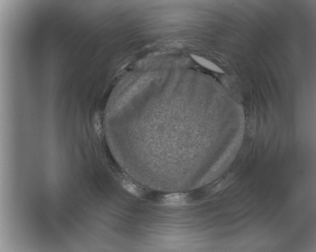 X0000067470335200604281900