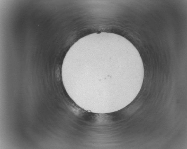 X0000067470336200604281900