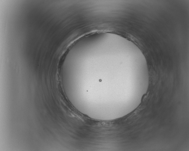 X0000067470338200604281900