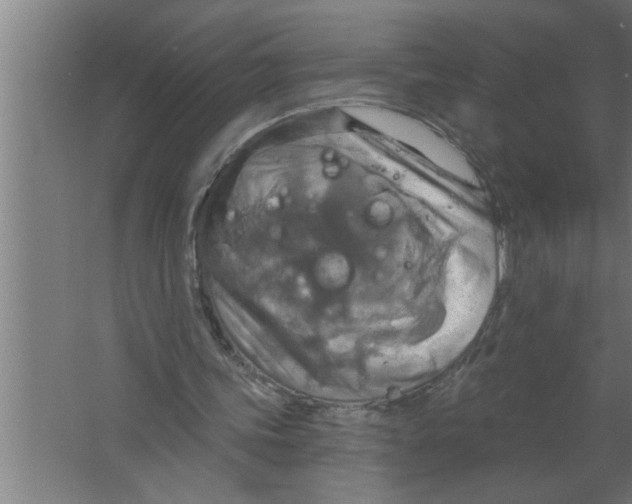 X0000067470339200604281900