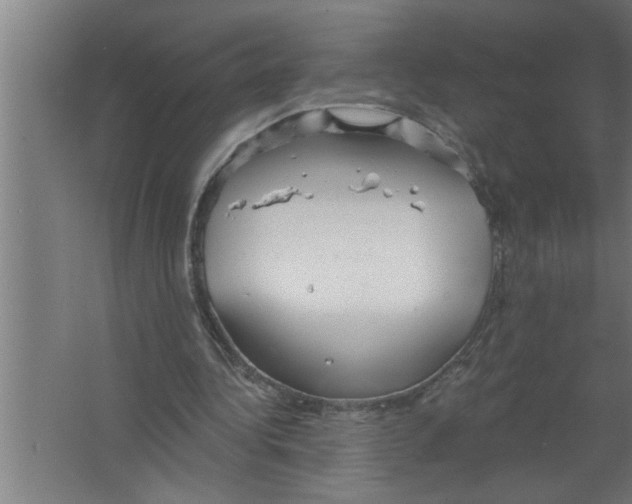 X0000067470340200604281900