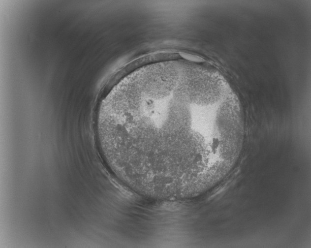 X0000067470341200604281900