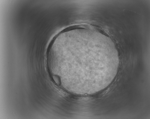 X0000067470342200604281900