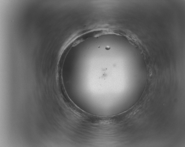 X0000067470344200604281900