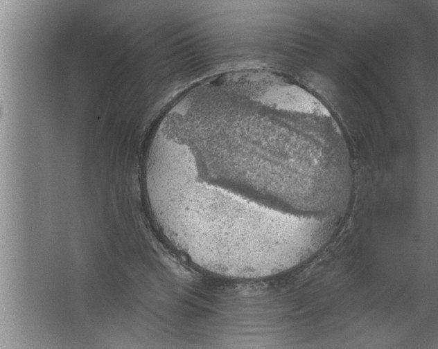 X0000067470345200604281900