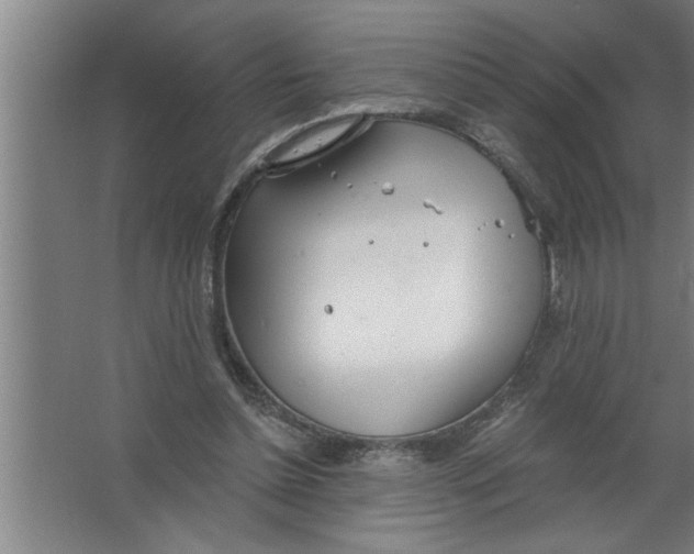 X0000067470348200604281900