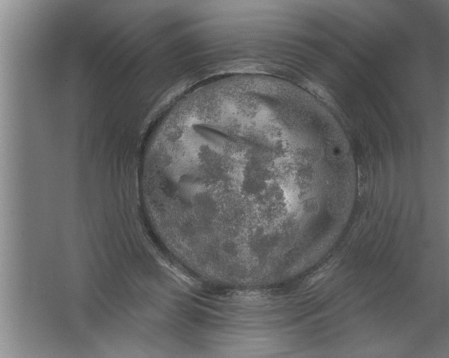 X0000067470349200604281900