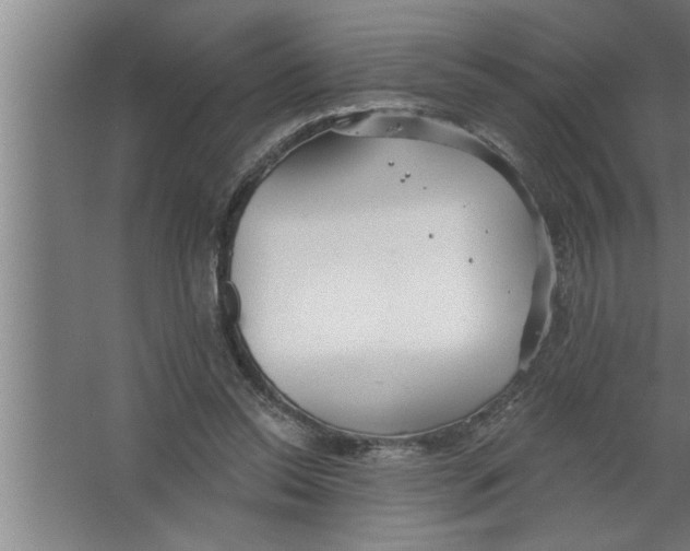 X0000067470350200604281900