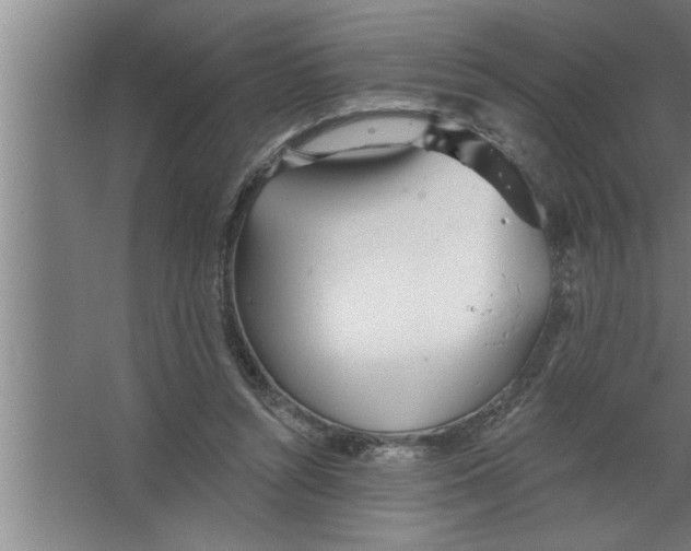 X0000067470352200604281900