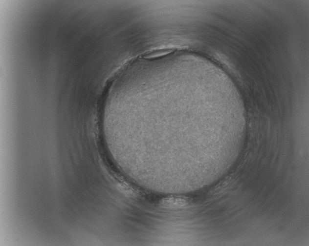 X0000067470354200604281900