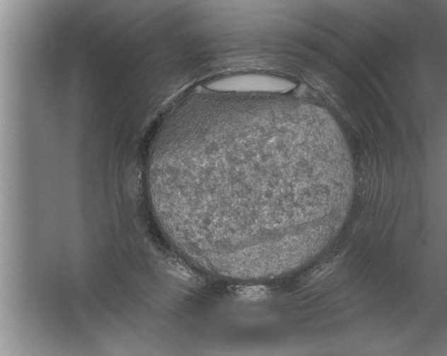 X0000067470355200604281900