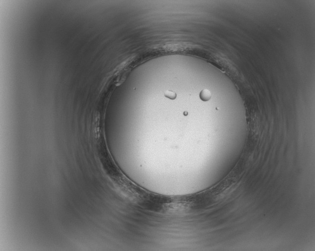 X0000067470356200604281900