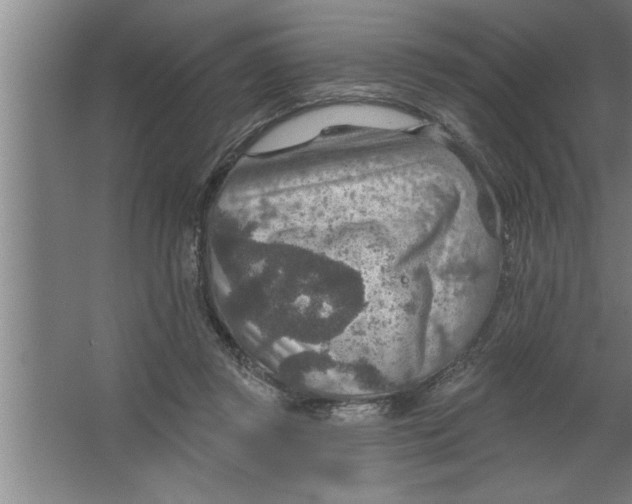 X0000067470357200604281900