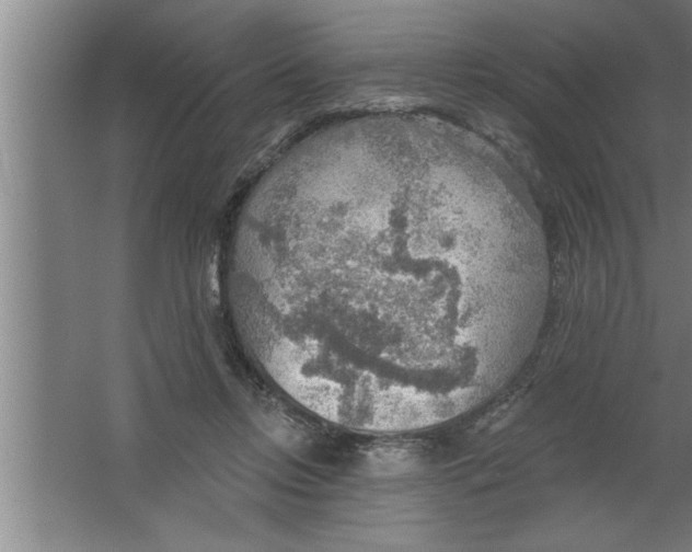 X0000067470358200604281900