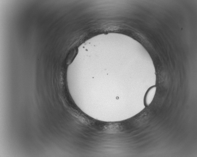 X0000067470362200604281900