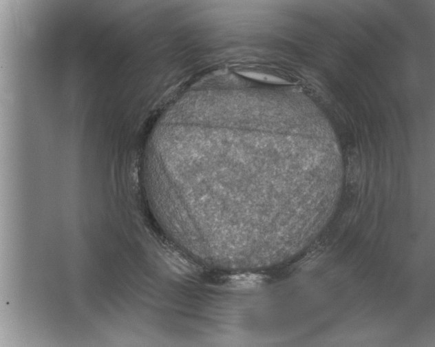 X0000067470363200604281900