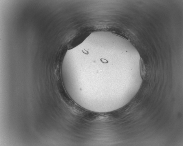 X0000067470364200604281900