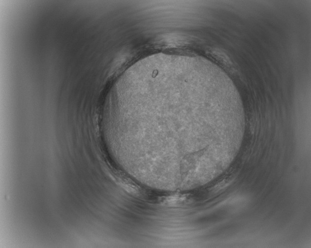 X0000067470366200604281900