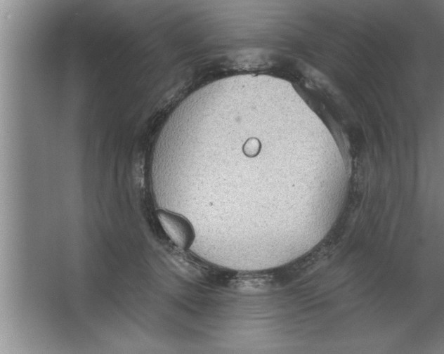 X0000067470368200604281900