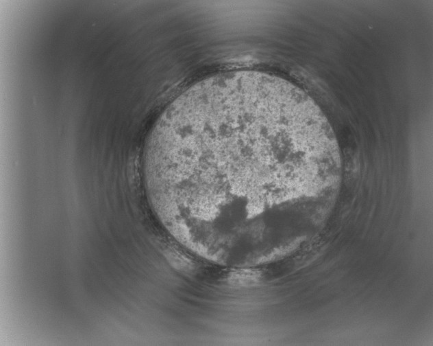 X0000067470369200604281900