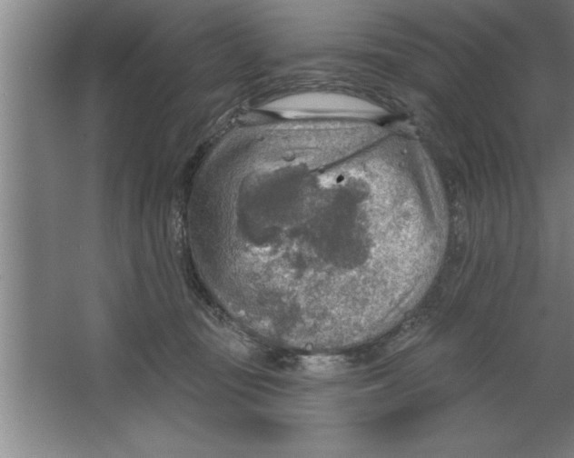 X0000067470371200604281900