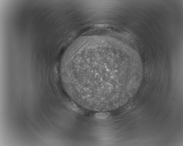 X0000067470373200604281900