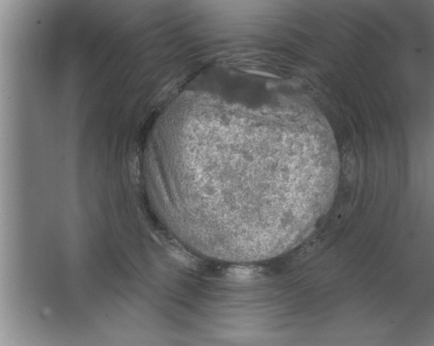 X0000067470375200604281900