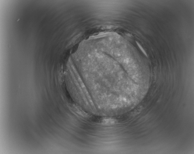 X0000067470376200604281900