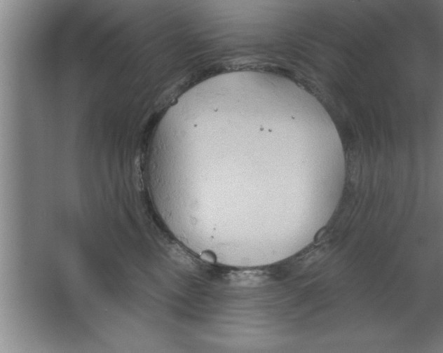 X0000067470378200604281900