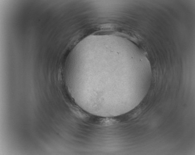 X0000067470379200604281900