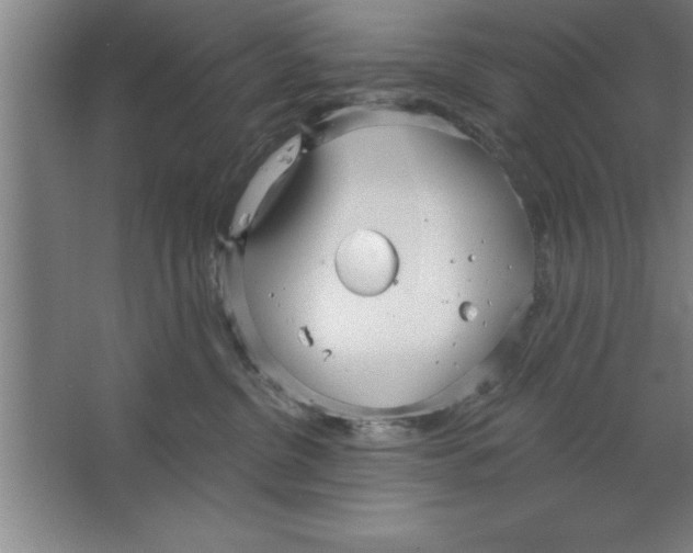 X0000067470380200604281900