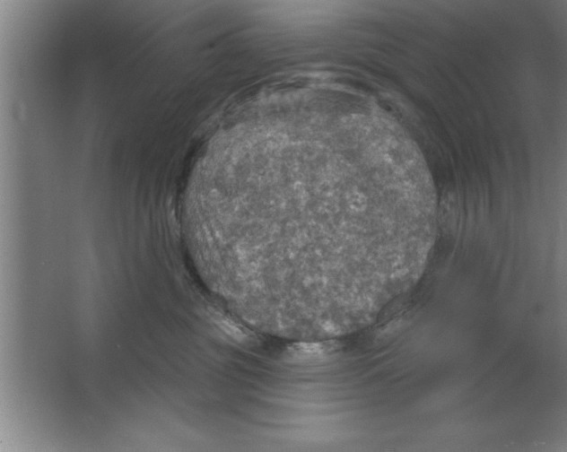 X0000067470381200604281900