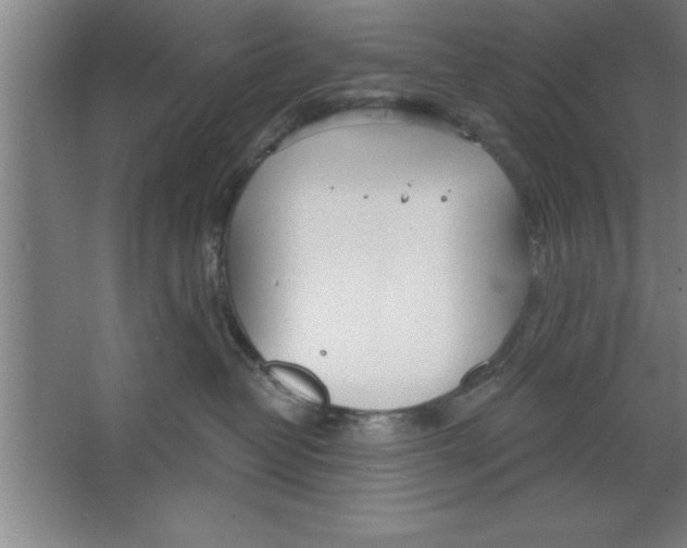 X0000067470382200604281900