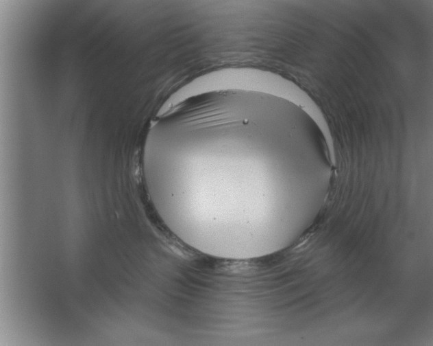 X0000067470383200604281900