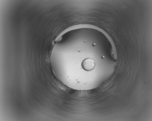 X0000067470384200604281900