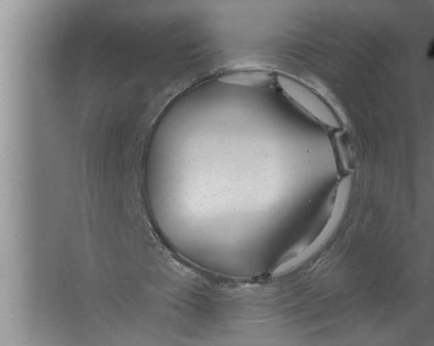 X0000067470385200604281900