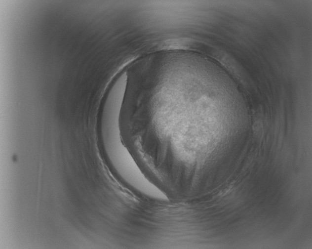 X0000067470386200604281900