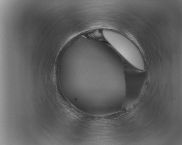 X0000067470387200604281900