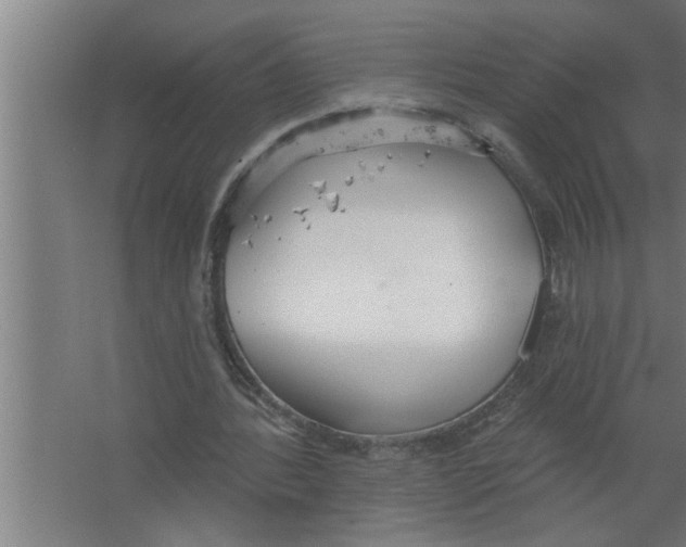 X0000067470388200604281859