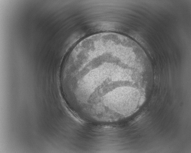 X0000067470390200604281859