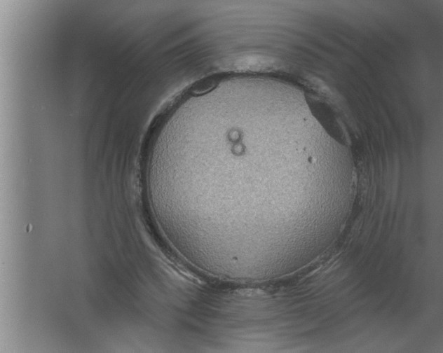 X0000067470392200604281859